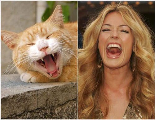 Cat Deeley và chú mèo vàng cùng khoe răng hết cỡ.